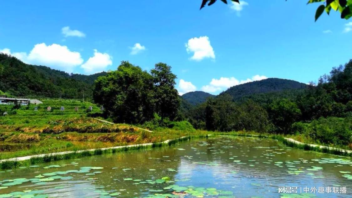 抖音赞在线自助下单低价：解锁高互动爆款内容创作黄金法则_人气卡盟 抖音上棒棒糖有人关注